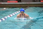 Swimming & Diving vs Babson  Swimming & Diving vs Babson College. - Photo by Keith Nordstrom : Wheaton, Swimming